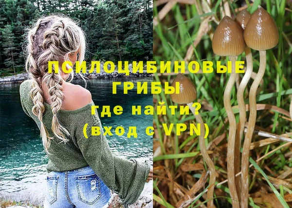 mdpv Беломорск