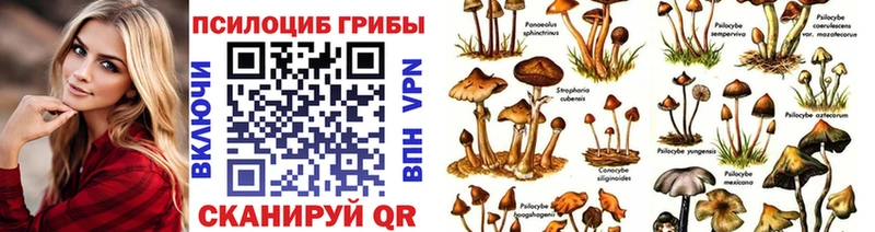 Псилоцибиновые грибы Magic Shrooms  хочу наркоту  Ахтырский 