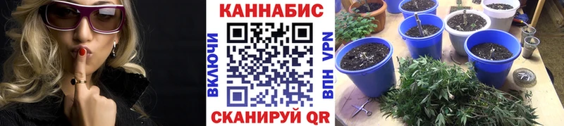 как найти закладки Ахтырский Шишки марихуана ГИДРОПОН